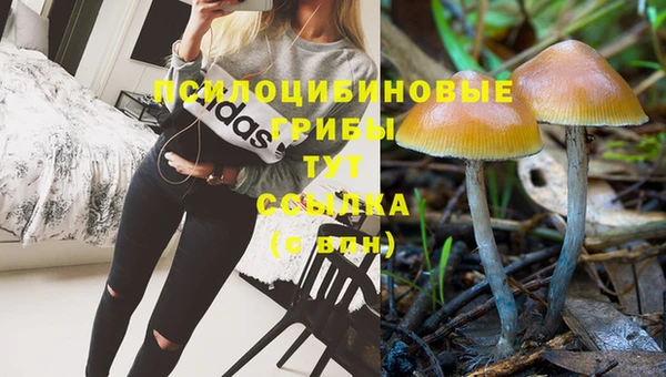 прущая мука Абаза