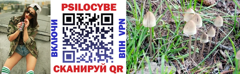 Псилоцибиновые грибы прущие грибы  наркота  Ковдор 